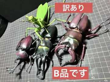 [ B품 ] 반다이 생물대도감 곤충 시리즈