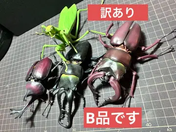 [ B품 ] 반다이 생물대도감 곤충 시리즈