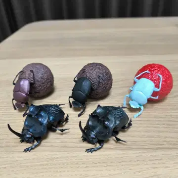 SO-TA 쇠똥구리 피규어 + 한정 컬러 포함 총 5개