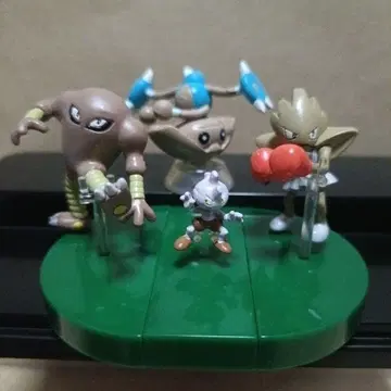 입체 포켓몬 도감 벌키 시라소몬 홍수몬 카포에라 포켓몬 입체도감