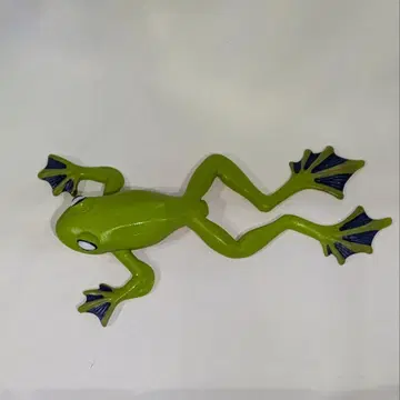 Safari Flying Tree Frog 사파리 하늘을 나는 청개구리