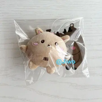 RIIZE 라이즈 성찬 미니 인형 키링