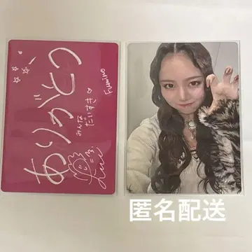 nonogirls 노노가 후미노