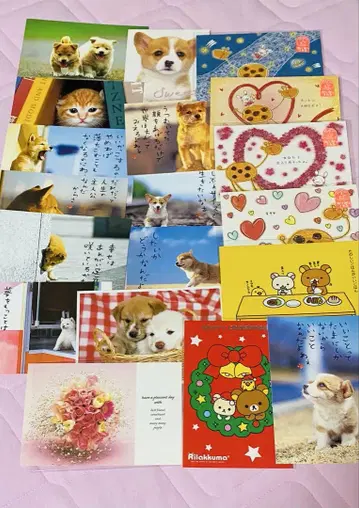 엽서 묶음 판매 19장 강아지 고양이 리락쿠마 로빈과 메그 짱 외
