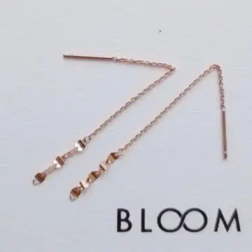 Bloom [ 10K 아메리칸 귀걸이 ]