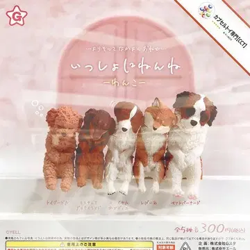 컴프 함께 잠자는 강아지 [전 5종]