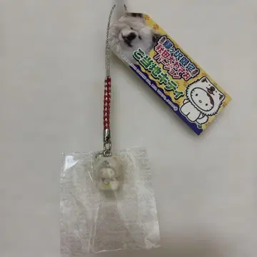 아키타 한정 키티 아키타견 와사오