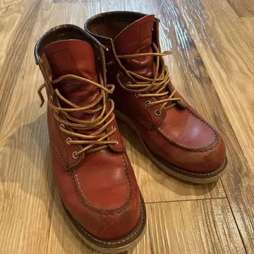 RED WING 아이리쉬 세터