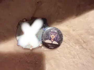 컬러풀피치 루나 메타 캔