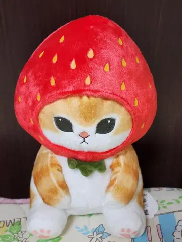 모프샌드 후르츠 냥 봉제 인형