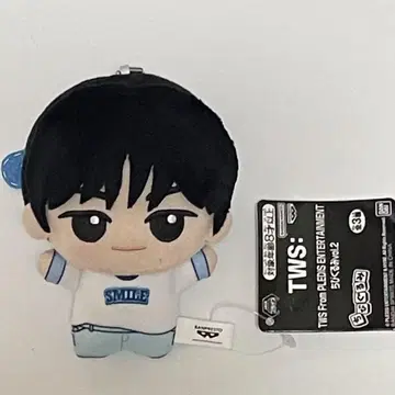 [남코 한정] TWS SD 인형 DOHOON 도훈 새상품급