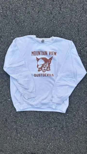 MOUNTAIN VIEW GUSTO EVILS 맨투맨