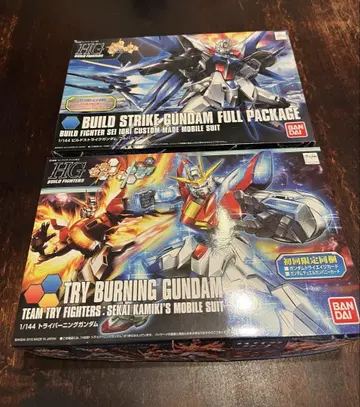 BUILD STRIKE GUNDAM & TRY BURNING GUNDAM