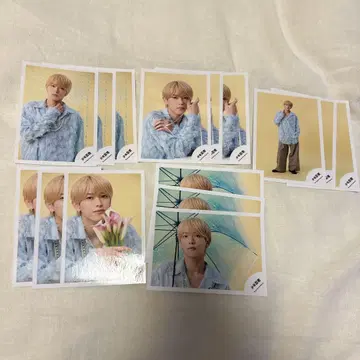 소년 닌자 ACEes 후카다 류세이 그리포 세트