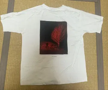 후지이 카제 Lonely Rhapsody T