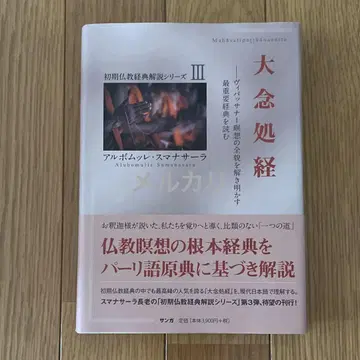 대념처경 알보무레 스마나사라 불교 경전 위빳사나 명상