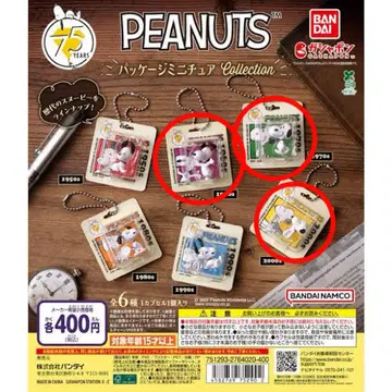 PEANUTS 패키지 미니어처 컬렉션