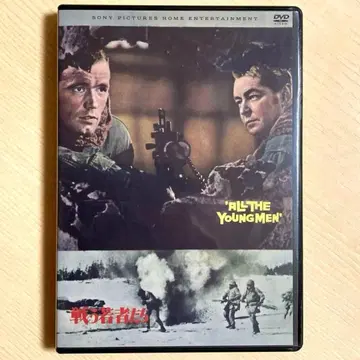 싸우는 젊은이들 ('60미) DVD 일본어 자막 아란 래드