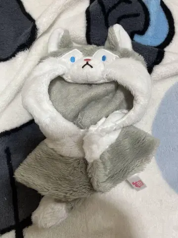 늑대 판초