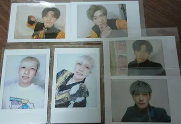 팬더드래곤 파라곤 요우타 나기 나루키 팟치 타이거 아이돌 세트