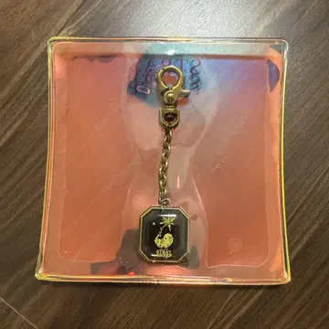 요네즈켄시 오마모리 키링