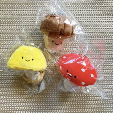 니코리노 버섯 세트