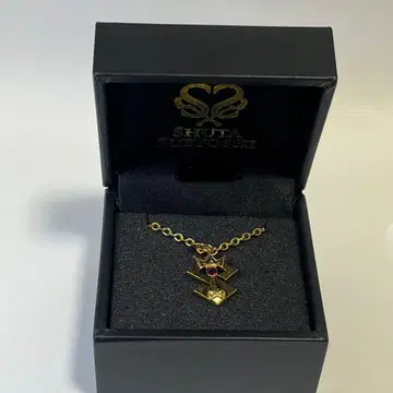 스에요시 슈타 한정판 목걸이 골드