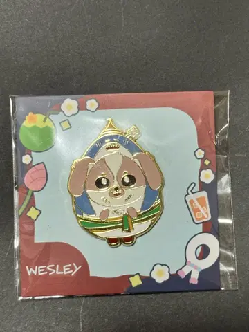 새상품 (WESLEY) 핀 배지 GMMTV willamest