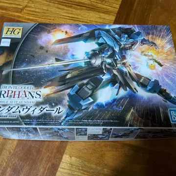 hg 건담 비다르