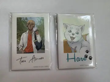 명탐정 코난 제로의 일상 아무로 토오루 할로 스퀘어 캔뱃지 세트