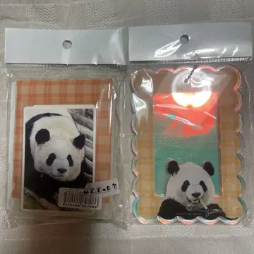 어드벤처 월드 사이하마 폴라로이드 프레임 스티커 세트 모음