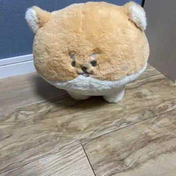 기간 한정 BIG 포메라니안 봉제 인형 준