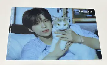 TWS 조이 사운드