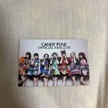 CANDYTUNE 2주년 투어 CANDY CANDY PARTY 캔튜 레어