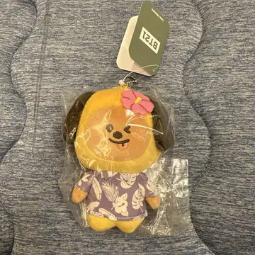 BT21 SUMMER 시리즈 마스코트 CHIMMY 치미