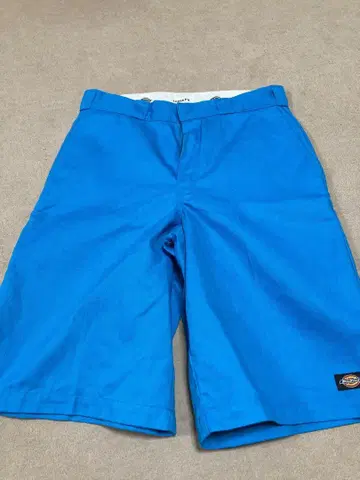 디키즈 블루 34