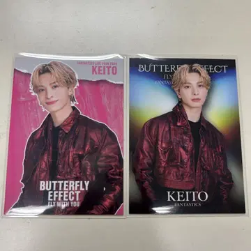 기무라 케이토 포토 카드 시크릿 노멀 2세트