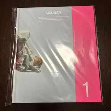 바운디 VAUNDY 프리미엄 포토북 #01 미개봉 새상품