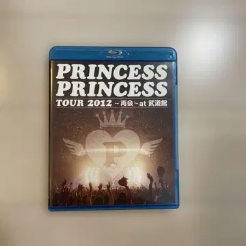 PRINCESS PRINCESS TOUR 2012 부도칸