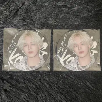 TREASURE KING KONG 캔뱃지 제혁
