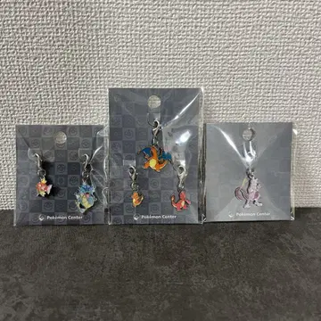 포켓몬 센터 히토카게 리자몽 잉어킹 뮤츠 메탈 참
