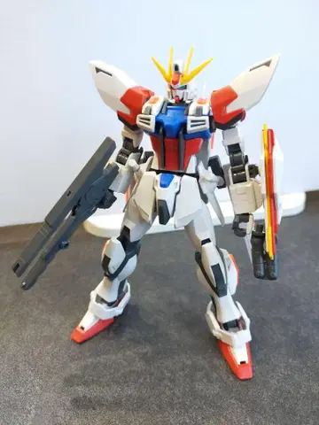HG 스타 빌드 스트라이크