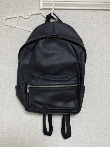 Shrink Leather BackPack 모음/REPLAY