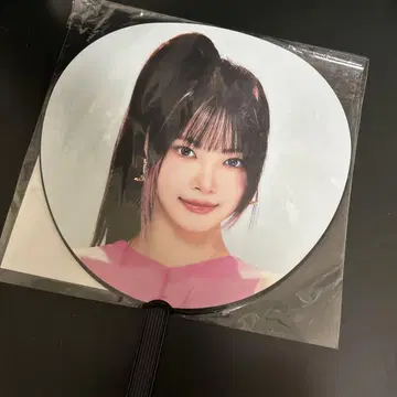 은채 이미지 피켓