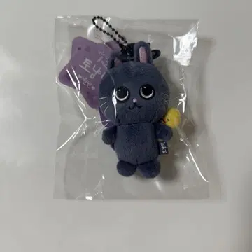 [미개봉 새상품] 공식 RIIZE 원빈 봉제 인형 8cm 토냥도쿠