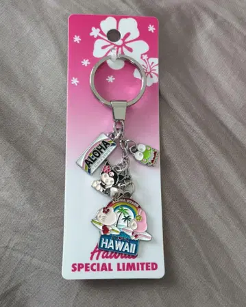 새상품 하와이 한정판 HAWAII 산리오 키링