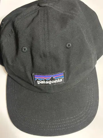 Patagonia 캡 블랙