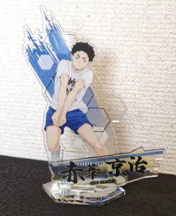 하이큐!! 아카아시 케이지 아크릴 스탠드 합동 연습 2021 아크스타