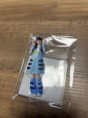 카나자와 아미 친타이거 아크릴 스탠드 미개봉 새상품