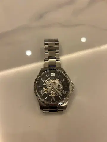 자동 감기 손목시계 실버 F5021 Furbo